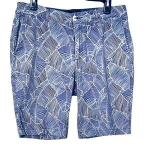 EVEN TIDE WALKING SHORTS, MENS, WAIST 33, BLUE/CREAM PAISLEY STRIPES, FLAT FRONT